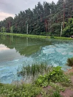 Подозрительные пятна в пруду на Южном: жители обеспокоены