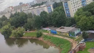 Обеспокоенность жителей: возможная вырубка ив на Барашкинском пруду