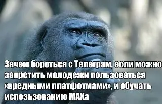 Россия ограничит доступ детей к вредным платформам к 2028 году