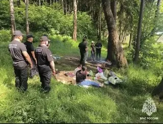Запреты на улице и в лесу: меры против пожаров