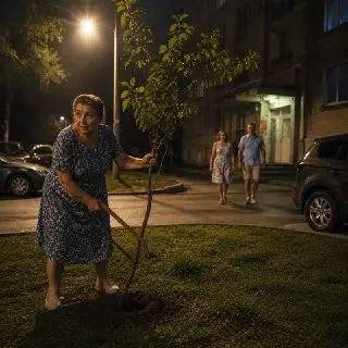 В Егорьевске ищут женщину-вандала, уничтожающую молодые деревья