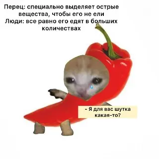 Острая еда: Как капсаицин защищает от болезней