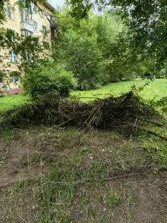 Жители Северного требуют убрать порубочные остатки между домами