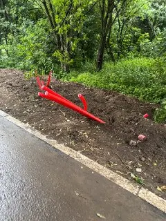 В Коломенском обновляют освещение: новые технологии для аллеи