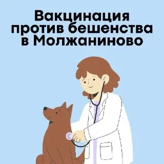Вакцинация питомцев от бешенства: ветеринары в вашем районе