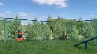 Обновленная площадка для собак в Косино-Ухтомском