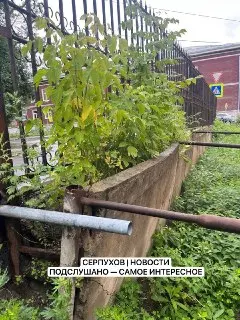Жители обеспокоены состоянием подпорной стены на Красного текстильщика