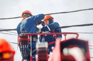 Обновленная ЛЭП улучшила электроснабжение в деревне Ворщиково