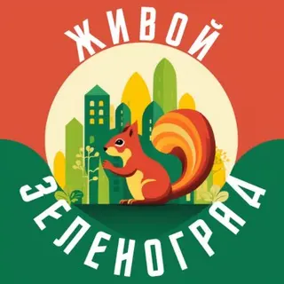 Плановые Работы по Газу в 20-м Микрорайоне Завершены