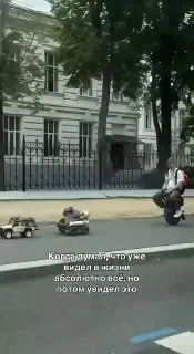 Москвич создал «коляску» для реабилитации питомца после операции