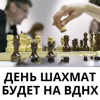 День шахмат на ВДНХ: Гигантские фигуры и конное представление