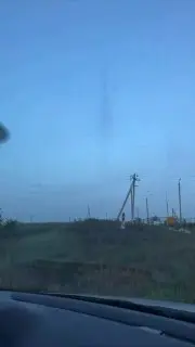 Комариный апокалипсис: Подмосковье ждет нашествие кровососов