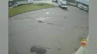 Два москвича украли пять тележек из супермаркета на 50 тысяч рублей