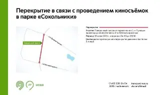 Киносъёмки остановят движение на Поперечном просеке в Сокольниках