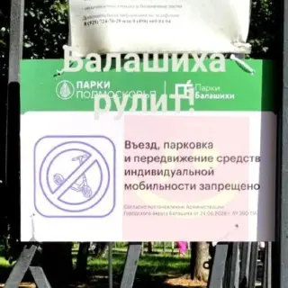 В Балашихе введен запрет на катание на самокатах в парке Пехорка
