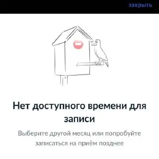 Москвичи сталкиваются с трудностями в получении загранпаспортов