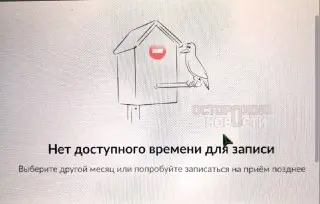 Москвичи сталкиваются с дефицитом слотов для загранпаспортов