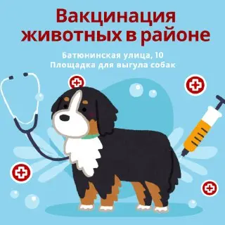 Бесплатная вакцинация домашних животных: 15 июля в вашем районе