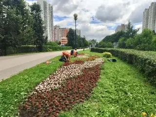 Коммунальные службы обновляют округ к зимнему сезону