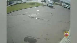 Два молодых человека украли пять тележек из супермаркета в Москве