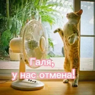 Синоптики прогнозируют комфортную погоду в июле
