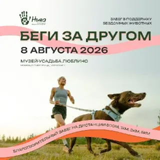 Благотворительный фестиваль «Беги за другом» в Москве 8 августа