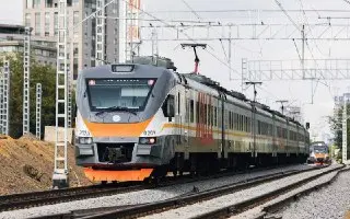 Москвичи выбирают «птичье» имя для поездов МЦД