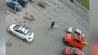 Двое Молодых Людей Задержаны за Кражу Магазинных Тележек