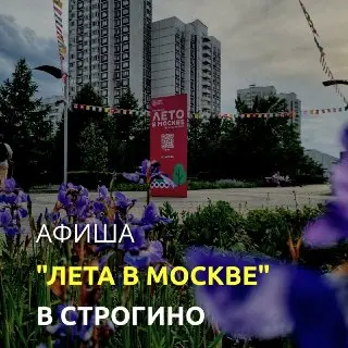 Летние мероприятия в Строгино: мастер-классы и настольные игры