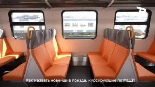 Новые поезда МЦД получат имена птиц: голосуйте за любимое!