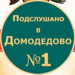 Динопарк в парке «Ёлочки» готов к открытию: ожившие гиганты ждут гостей