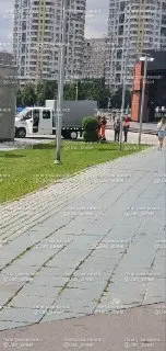 Лев у метро вернулся на место после происшествия