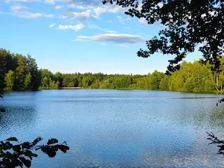 Уборка берега озера: присоединяйтесь к акции «Вода России»