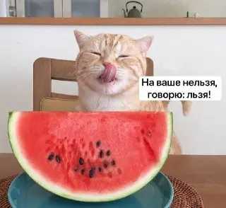Диетологи: Арбуз после обеда вреден для здоровья