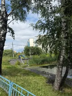 Благоустройство пруда в Мытищах: работы остановлены в первый же день