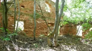 Усадьбы Подмосковья: Торги за 1 рубль привлекают инвесторов