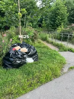 Стихийная свалка в районе: жители требуют действий от властей
