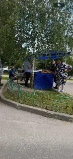 Жители Путилкова требуют убрать незаконную торговую палатку