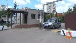 В Королеве задержан мужчина за выращивание конопли в квартире