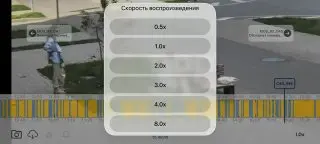 Новые кадры с котом в ЖК «Пригород Лесное» разделили мнения жителей