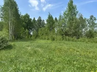 В Подмосковье выставлено 142 новых объекта на аукционы