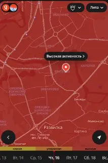 Пик цветения аллергенов: советы для аллергиков на лето