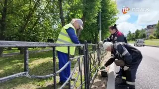 На улице 60 лет Комсомола обновили травяное покрытие и ограждения