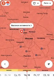 Высокая концентрация пыльцы липы и сорняков ожидается в Москве