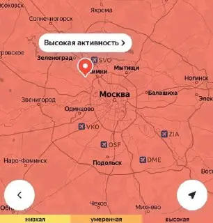 Максимальная концентрация пыльцы в столице: советы аллергикам