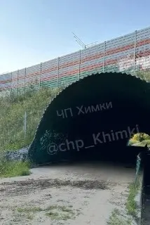 Жители Химок боятся гулять в лесу из-за роста преступлений