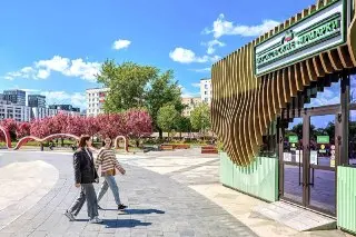 Ярмарки Москвы: Вишня и Смородина в Разгаре Сезона