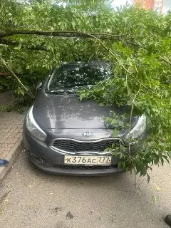 Сильный ветер в Заречье: дерево упало на автомобиль