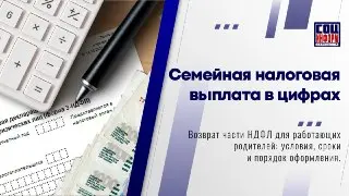 В России стартовал приём заявлений на семейную налоговую выплату