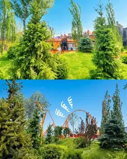 27 тысяч деревьев высажено на «Острове Мечты» в парке